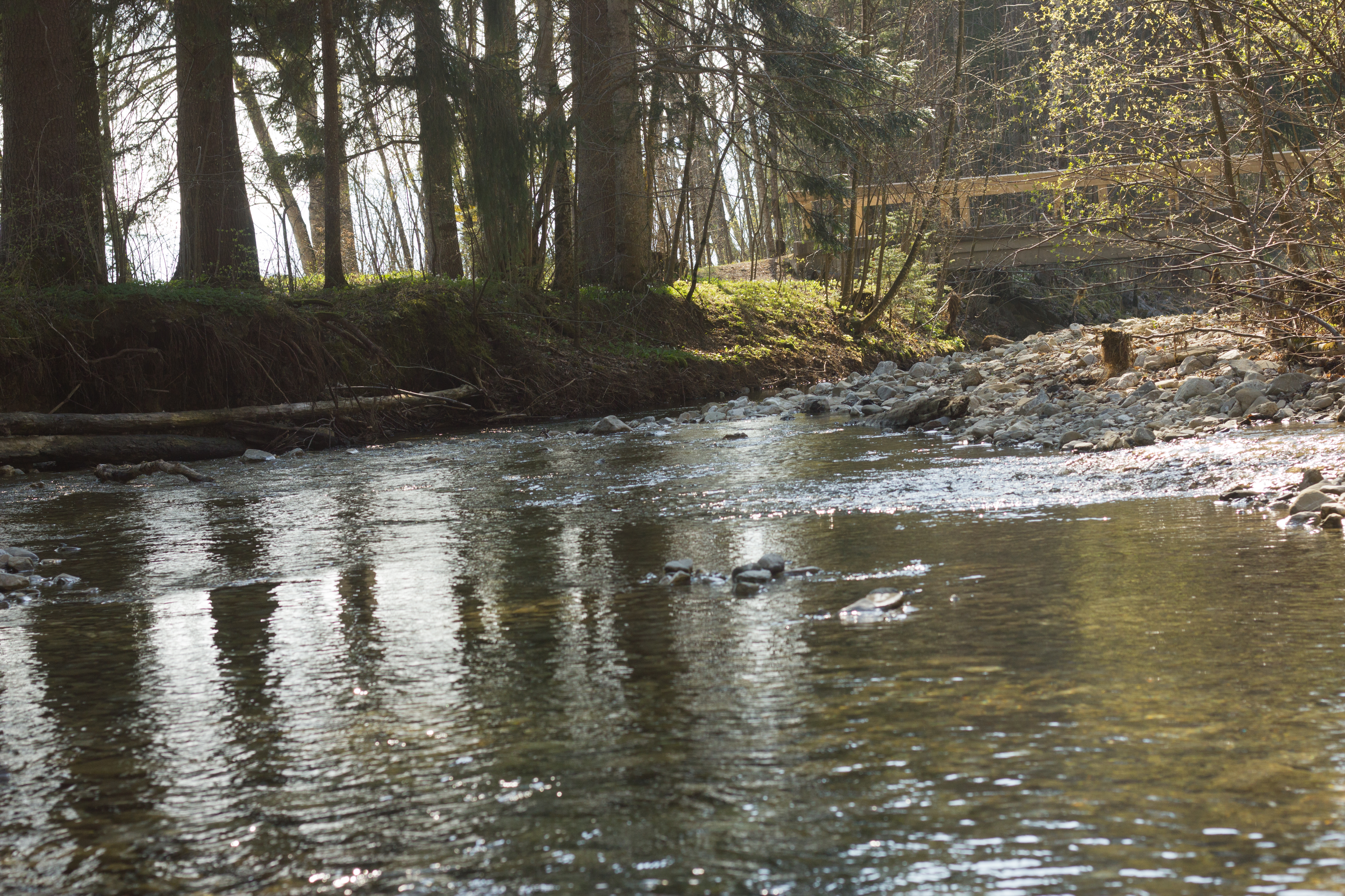 Moonshine - Mondwasser mit Heilsteinherzen